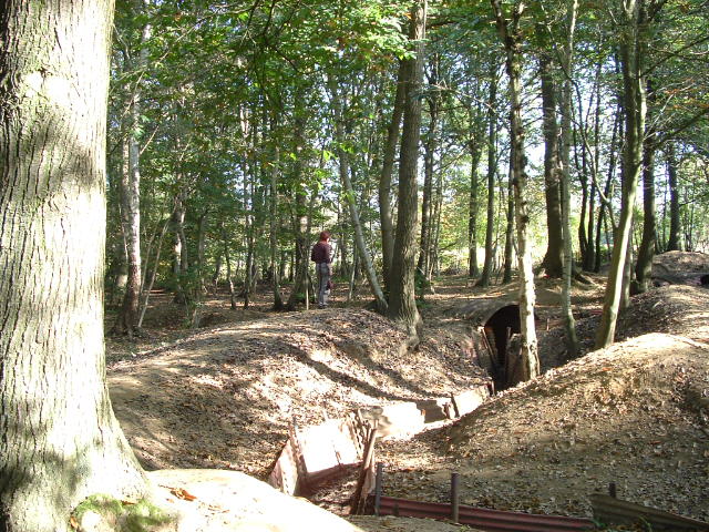 Hill 62 Trenches