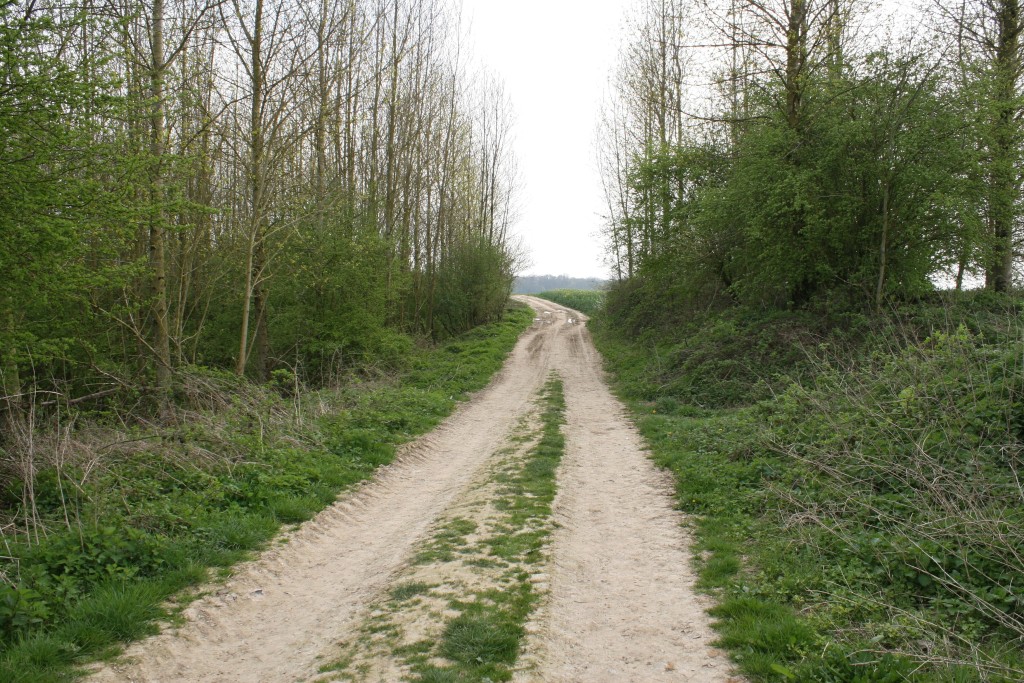 215