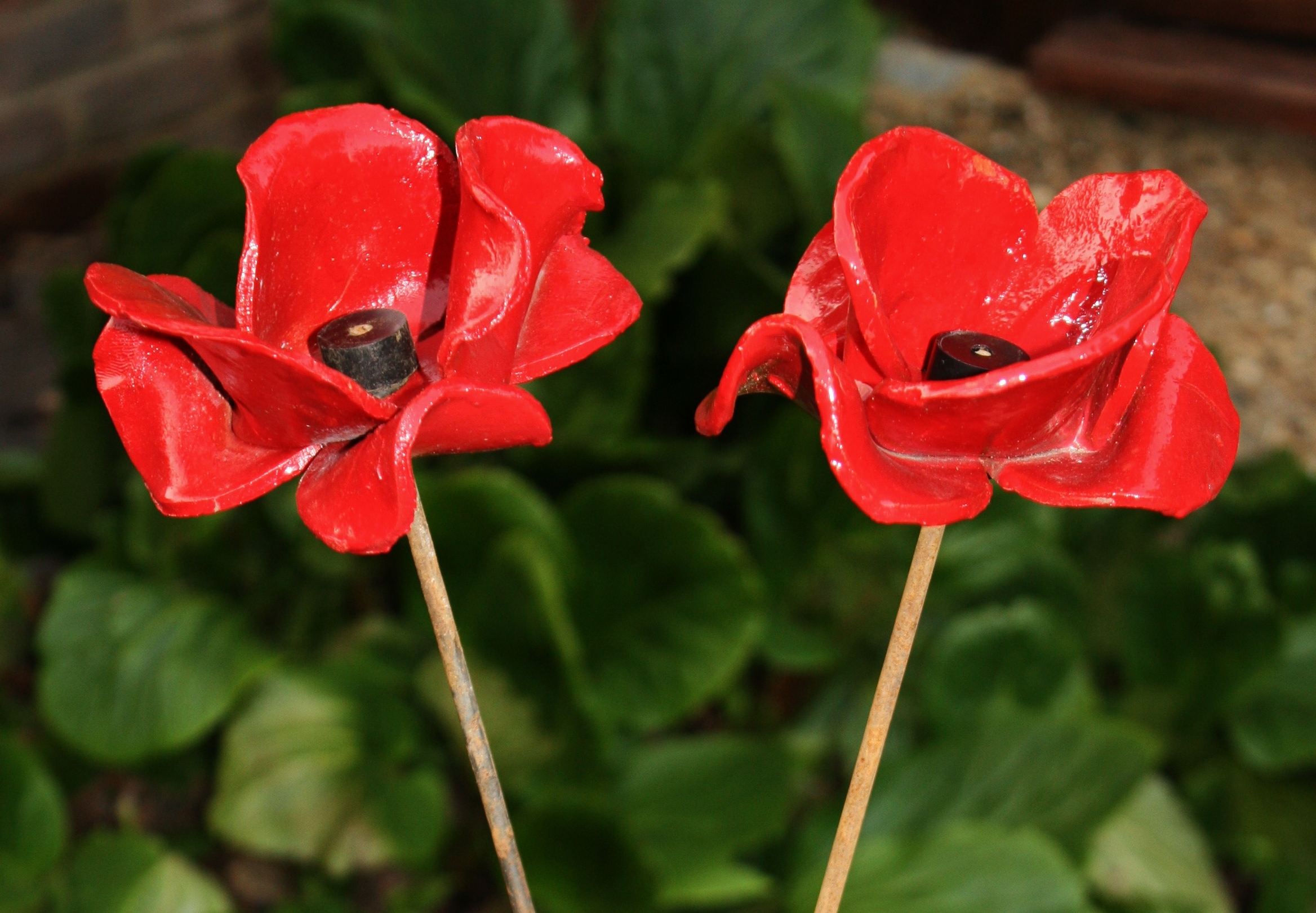 “In Flanders Fields the Poppies Grow…” | With the British Army in