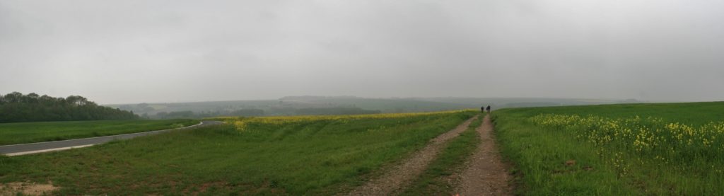 Panorama (3)