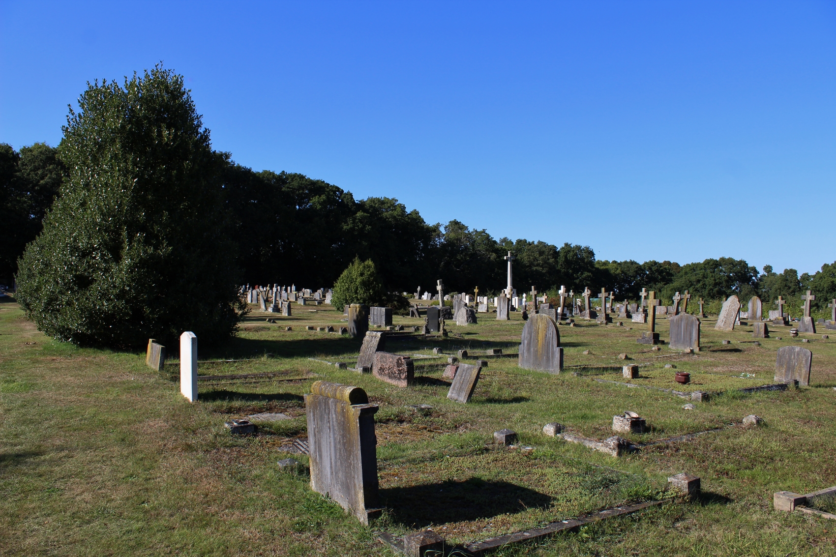 Witley (Milford) Cemetery | With the British Army in Flanders & France