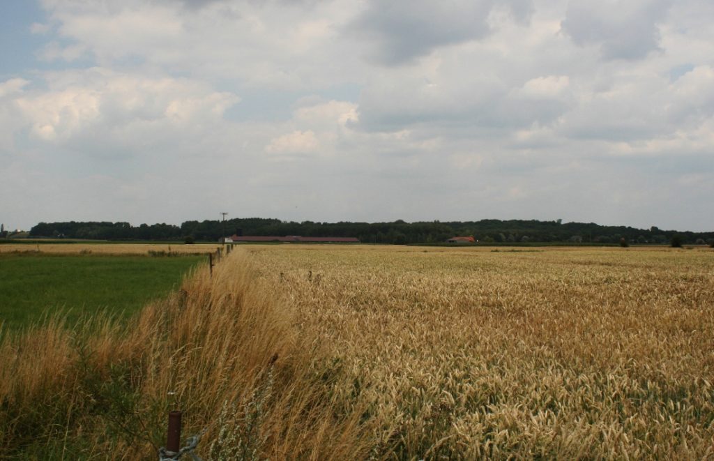 A Tour of Ploegsteert Wood Extra – Maple Leaf Cemetery – Updated 2023 ...