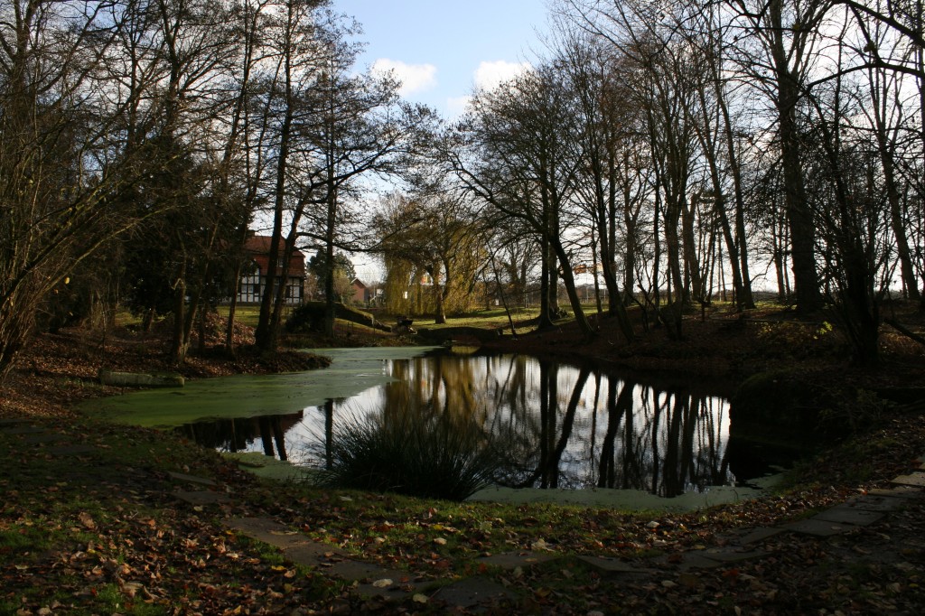 Hooge